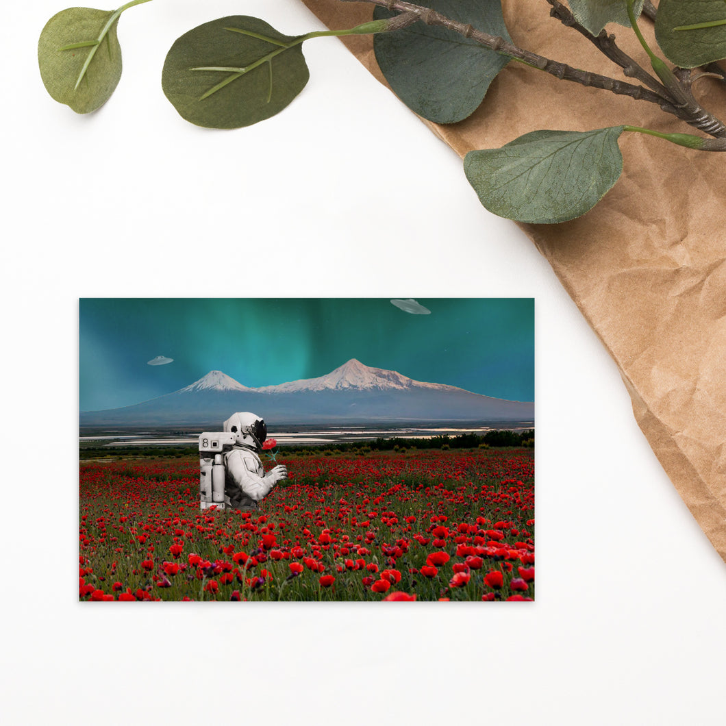 Ararat Flowers Standard Postcard